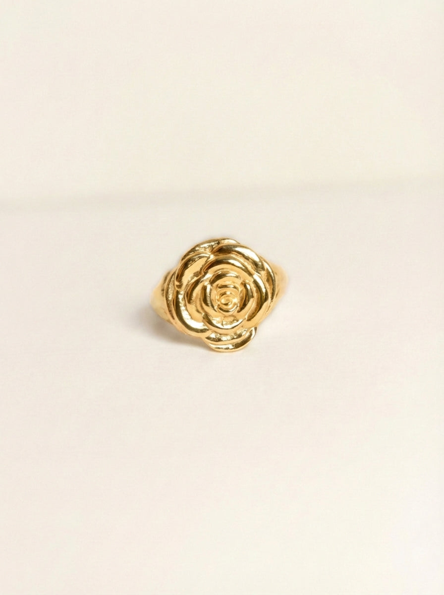 Anillo Rosetta