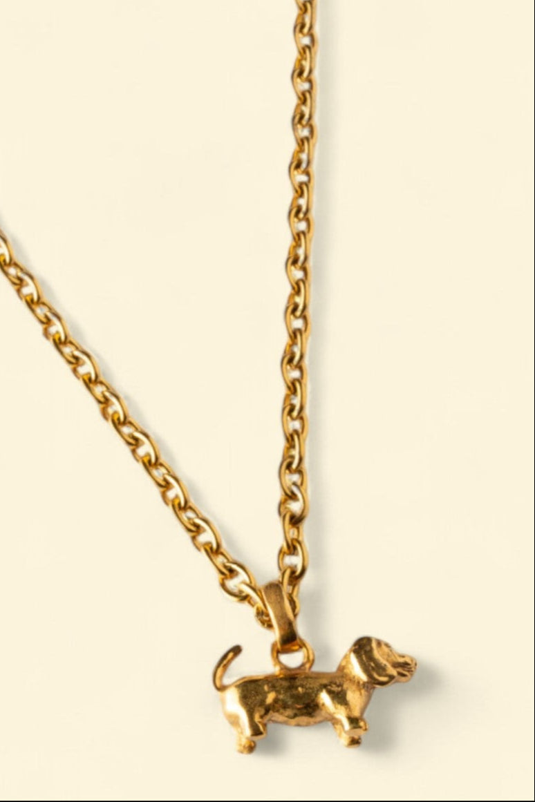 collar perro salchicha