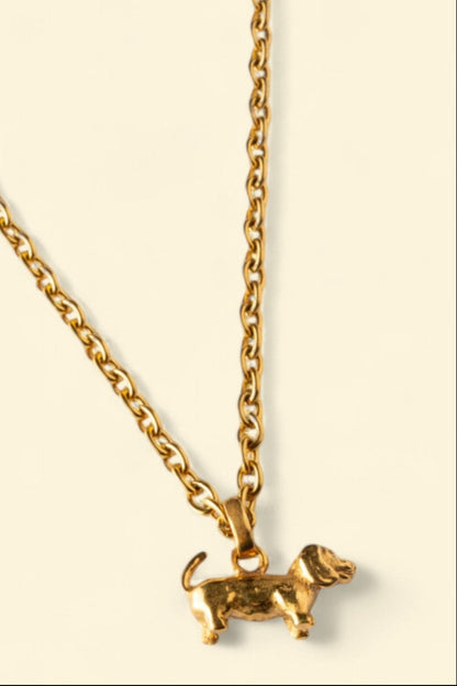 collar perro salchicha
