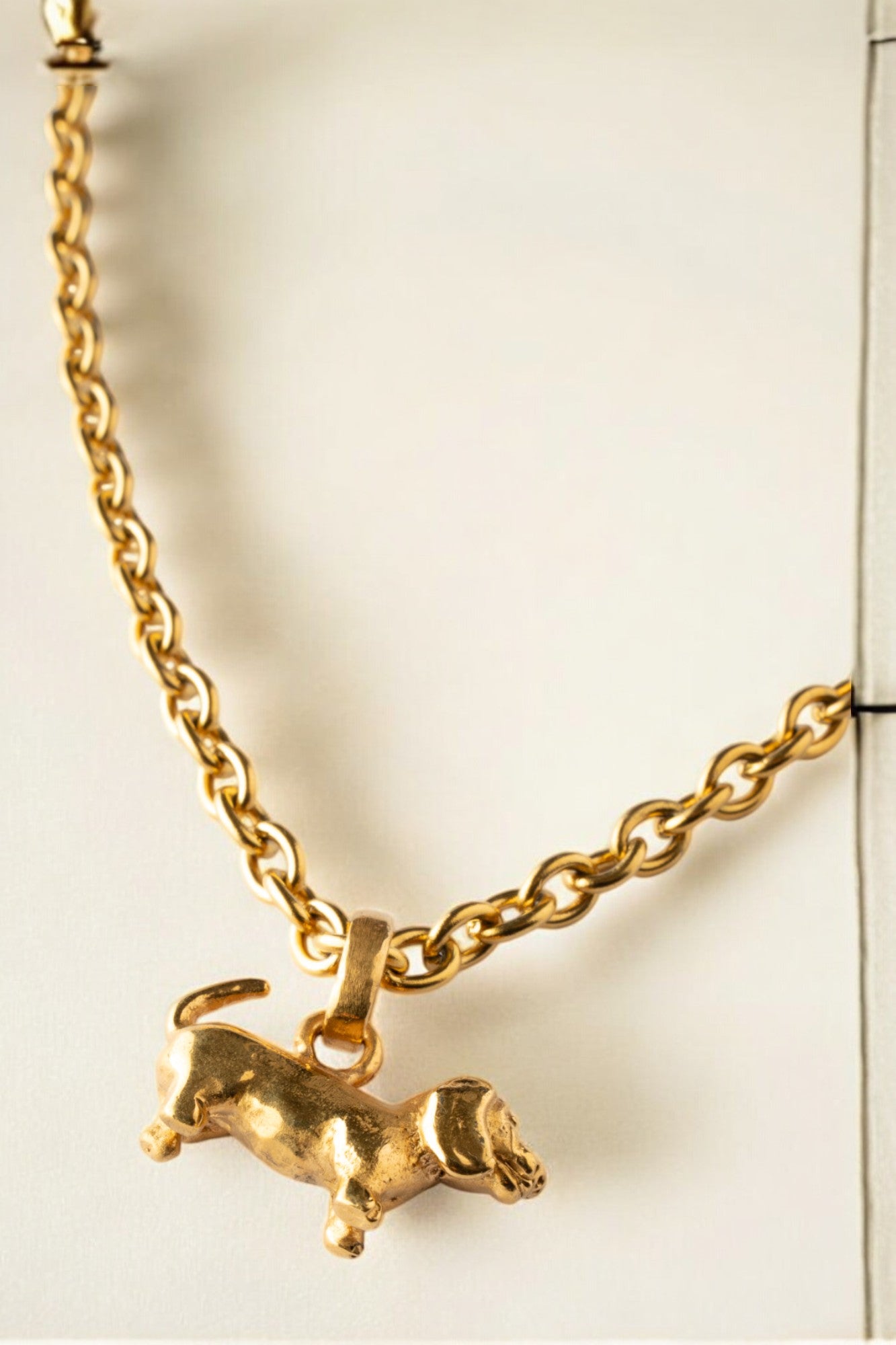Collar Salchicha