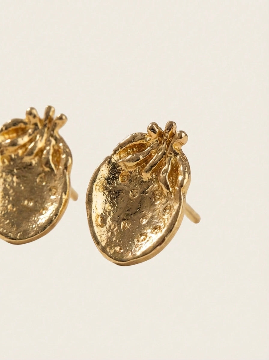 Freshita earrings